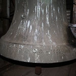 Turmfalken