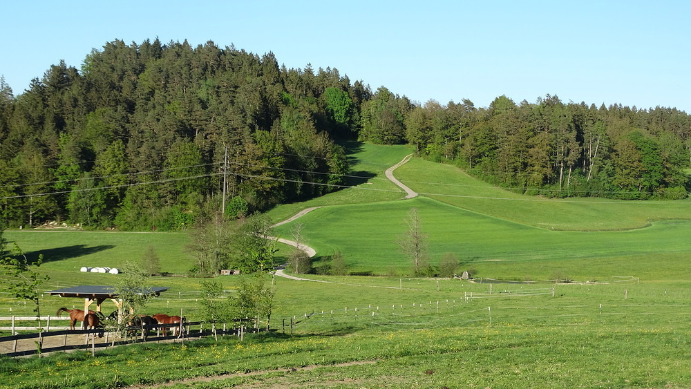 kfb Maiandacht 2024