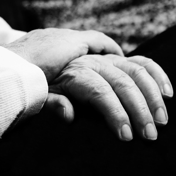 Bild von It is not permitted to sell my photos with StockAgencies auf