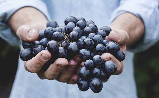 Grapes / Unsplash / pixabay / cc0 Unsplash / pixabay / cc0