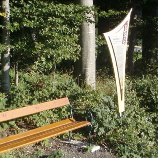 Der 'Trotzdem'-Weg